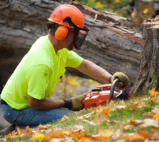 tree services Sterlington